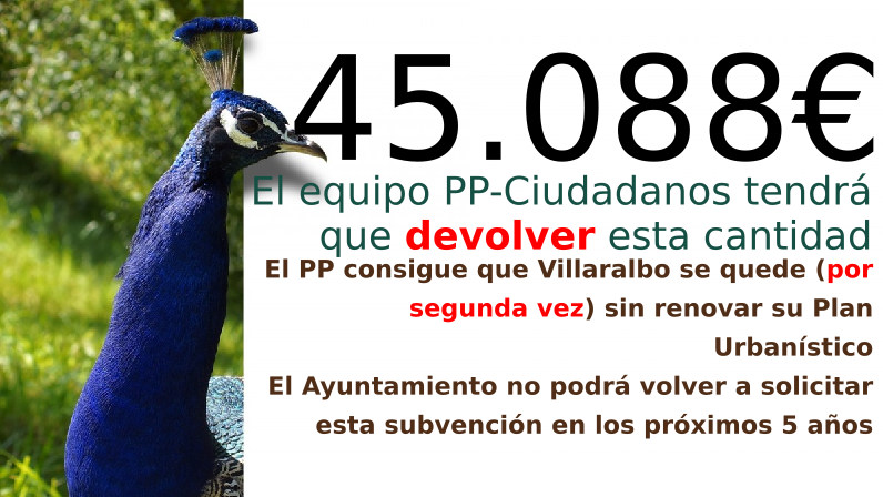 ¿Ineficacia o dejadez? La falta de seguimiento de alcaldía nos hace perder 45.088,72 Euros