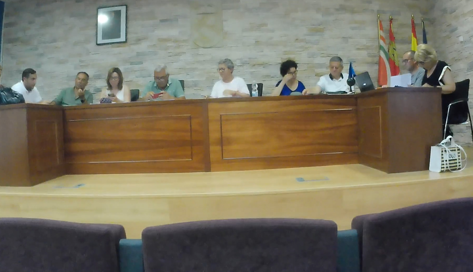 Pleno del mes de julio de 2024